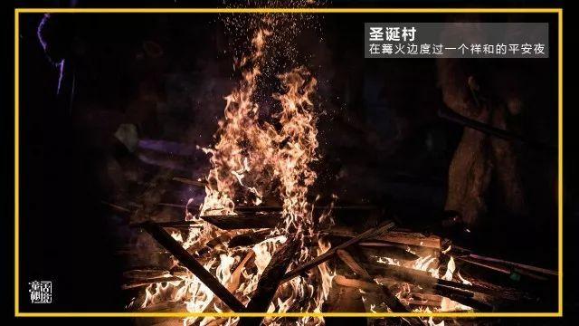 蛇蛇足球赛